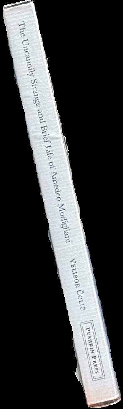 The uncannily strange and brief life of Amedeo Modigliani : a mosaic novel live spine