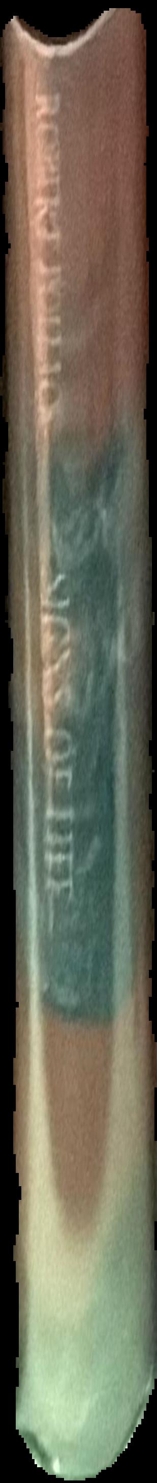 The book of life / general editor, Stephen Jay Gould ; contributing scientists and illustrators, Peter Andrews [and 10 others] live spine