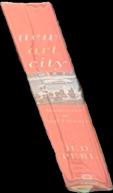 Up, down and other opposites / with Ellsworth Kelly ; text by Cecily Kaiser live spine