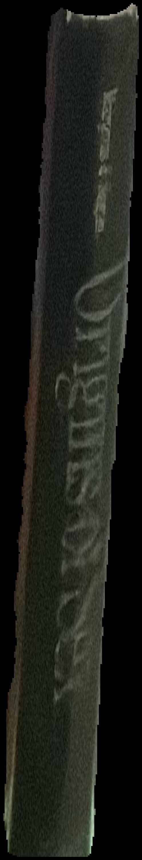 Daughters of Isis : women of ancient Egypt live spine
