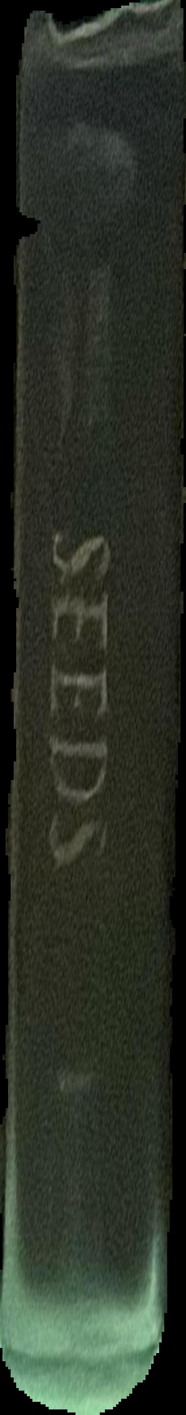 Seeds : time capsules of life live spine