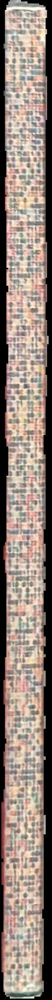 Domenico Gnoli : detail of a detail live spine