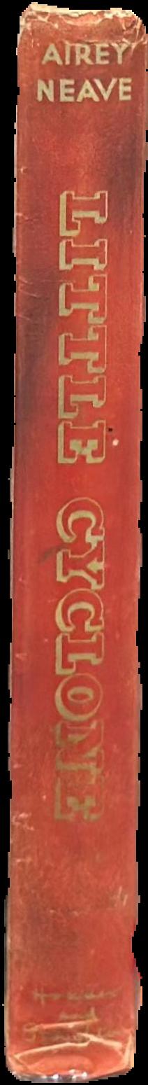 Little Cyclone live spine