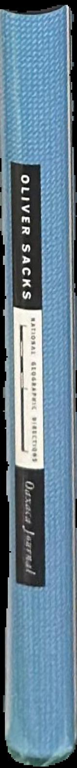 Museums journal live spine