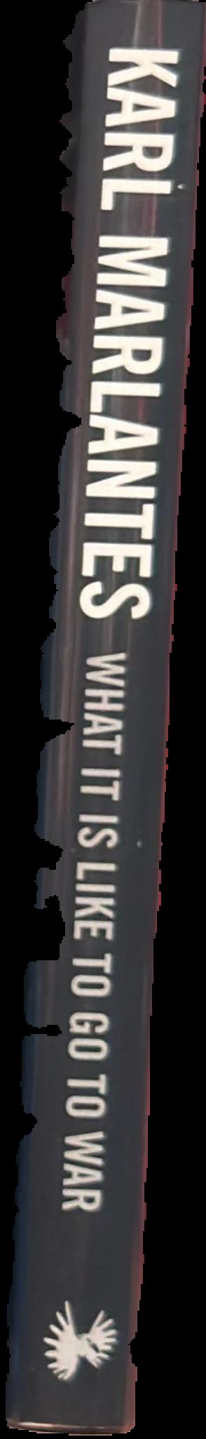 What it is like to go to war live spine