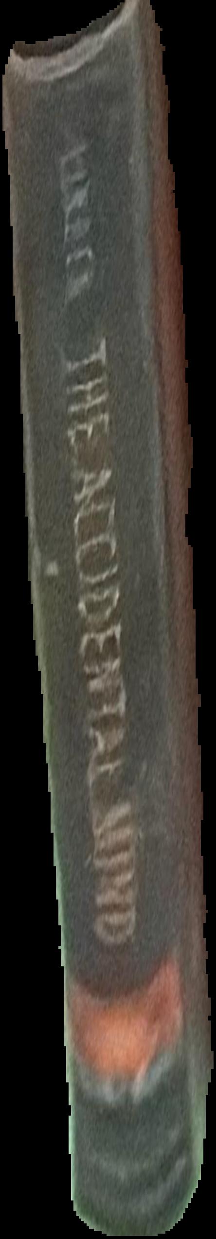 The accidental universe live spine