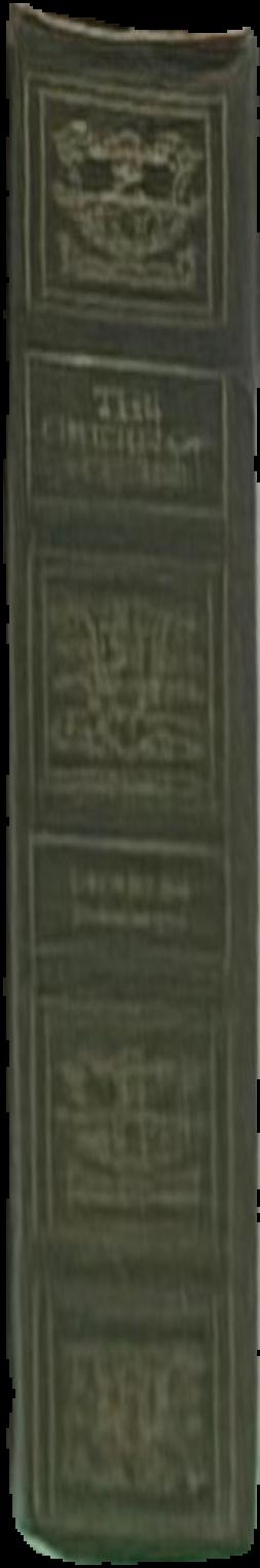 The Irish live spine