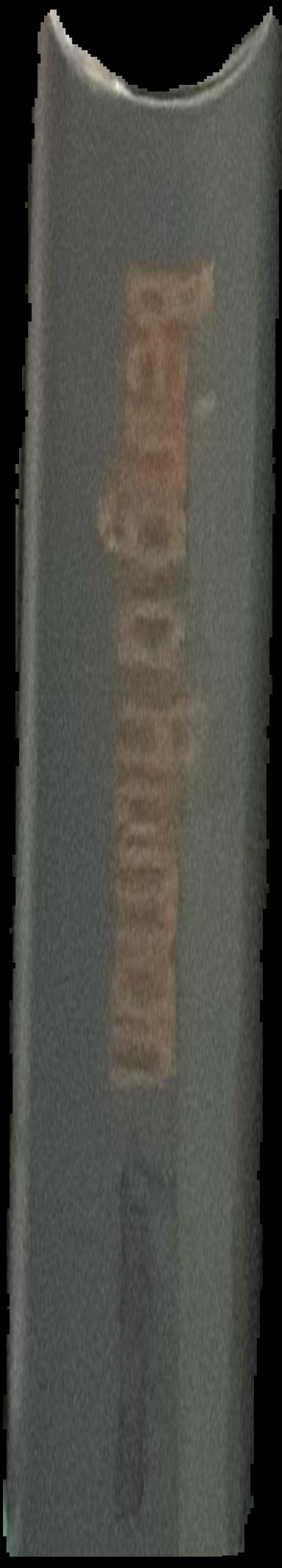 Doppelganger : images of the human being live spine