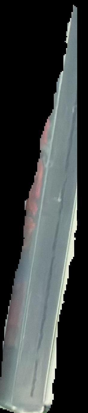 Meta photographs / Richard Gordon live spine