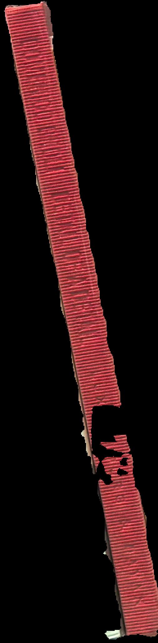 Domenico Gnoli : detail of a detail live spine