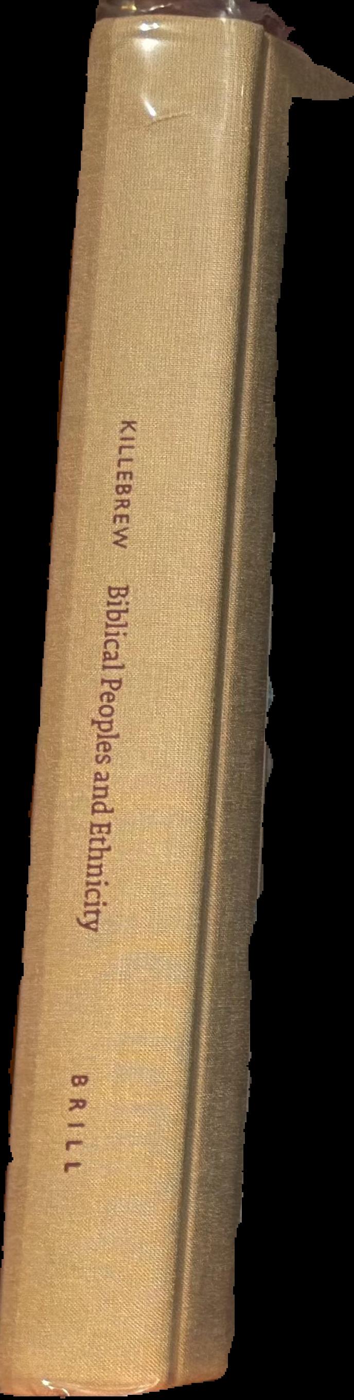 Biblical peoples and ethnicity : an archaeological study of Egyptians, Canaanites, Philistines live spine