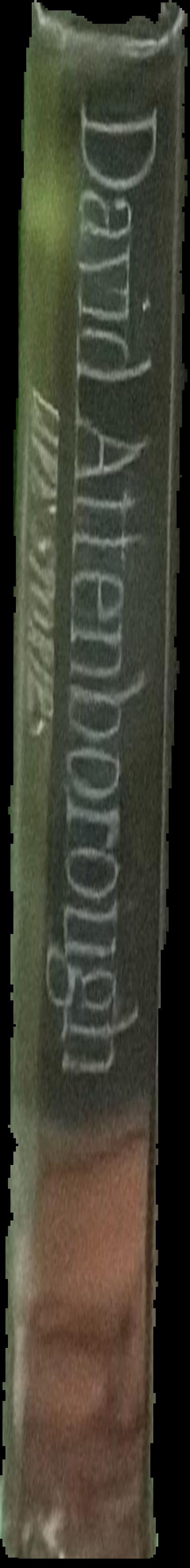 The necessity of Australian art : an essay about interpretation live spine