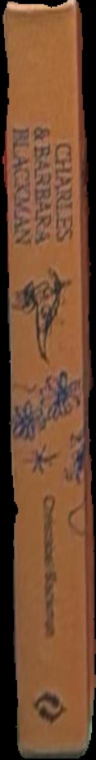 Ancient Egyptian, Mesopotamian & Persian costume and decoration / by Mary G. Houston live spine