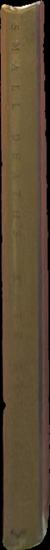 The black tulip live spine