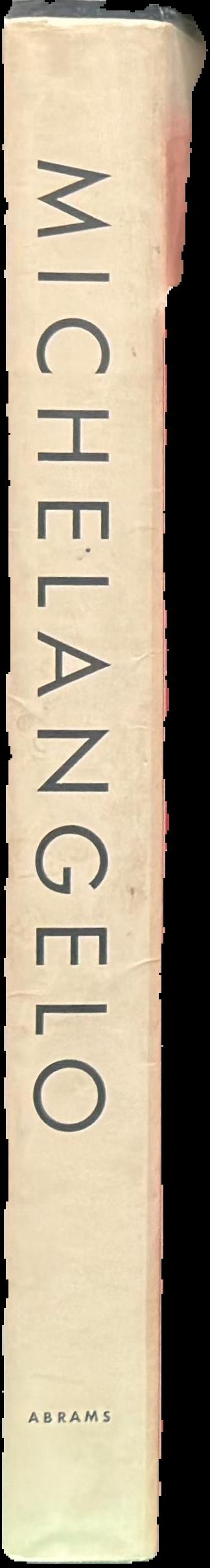 Michelangelo : Michelangelo Buonarroti live spine