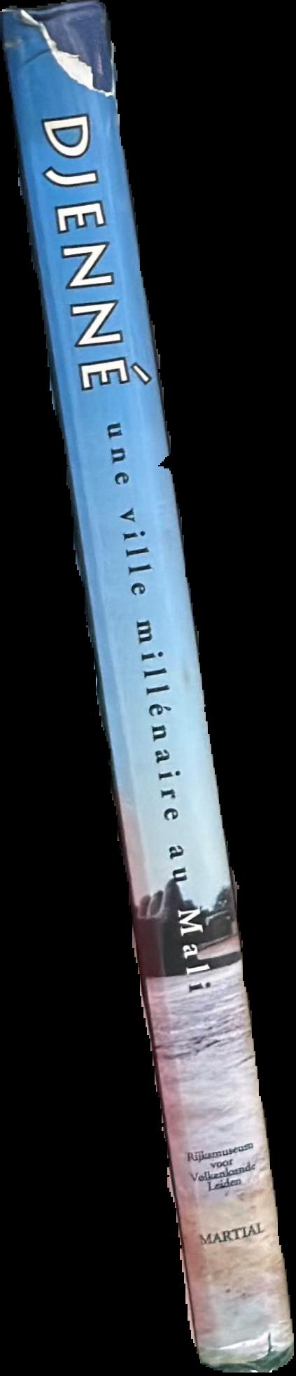 Djenne : une ville millenaire au Mali / Edited by R.M.A. Bedaux & J.D. Waals live spine