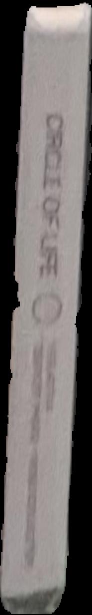 The wellsprings of life live spine