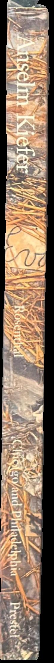 Fire on the earth : Anselm Kiefer and the postmodern world / John C. Gilmour live spine