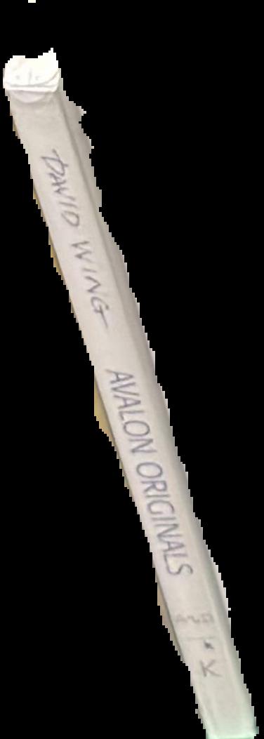 Avalon originals : Catalina Island survivors live spine