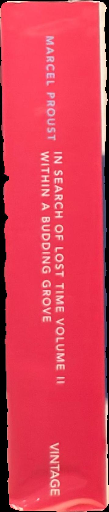 In search of lost time : II : within a budding grove live spine