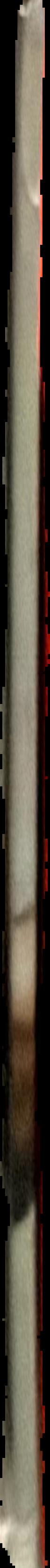 A history of art history live spine