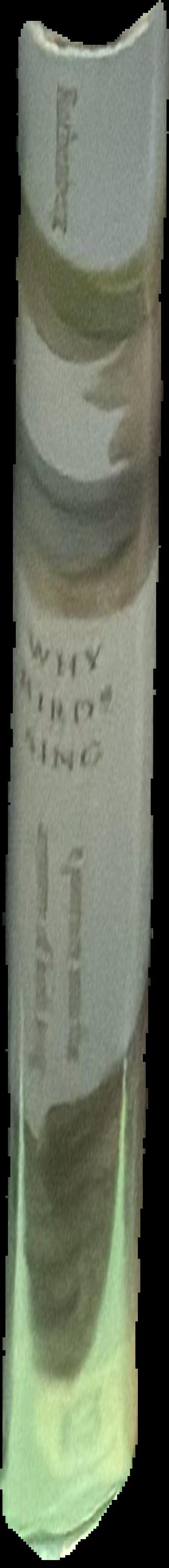 Masters of the weird tale : Robert Aickman, volume one live spine