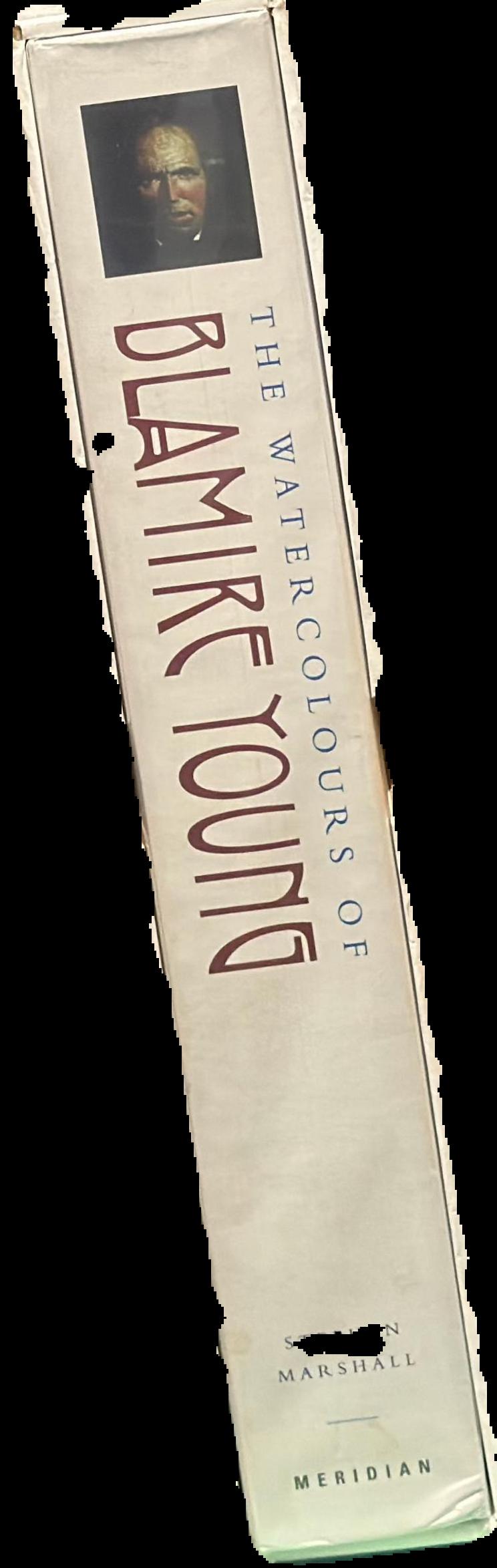 The watercolours of Blamire Young live spine