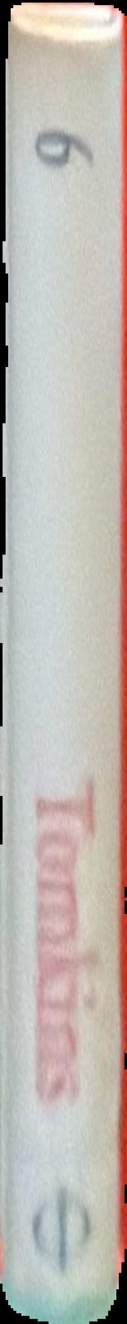 The lives of artists : volume six live spine