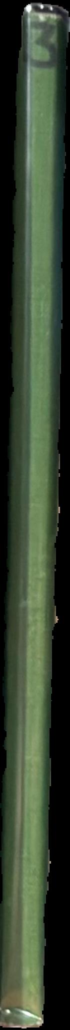 The student's flora of Tasmania : part 3 Angiospermae : Plumbaginaceae to Salicaceae live spine
