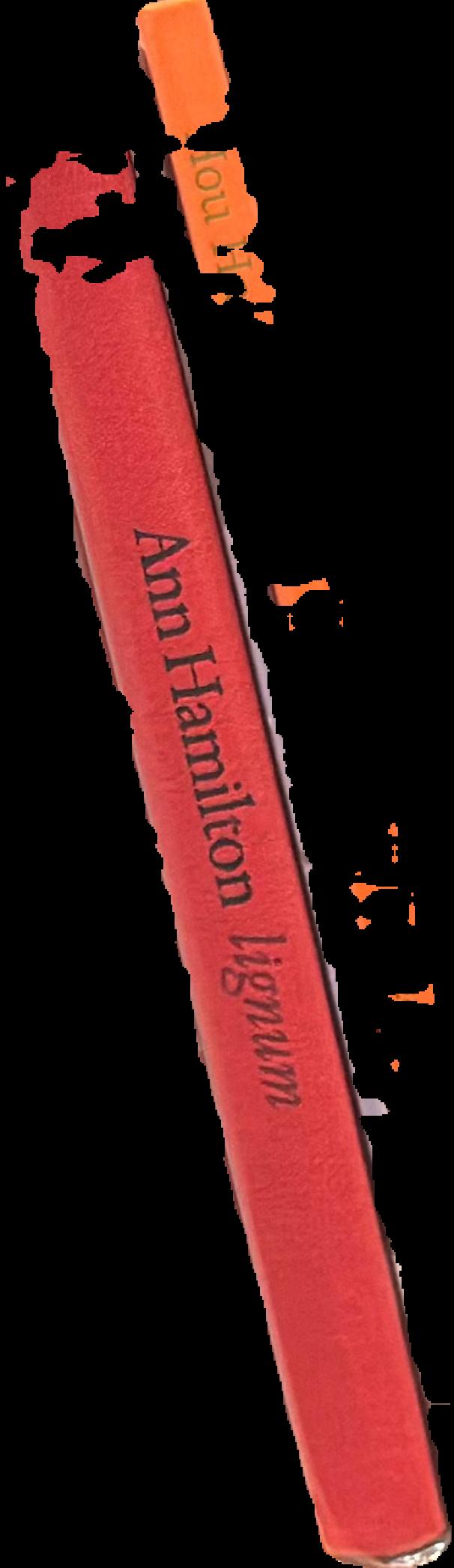 Ann Hamilton : lignum live spine