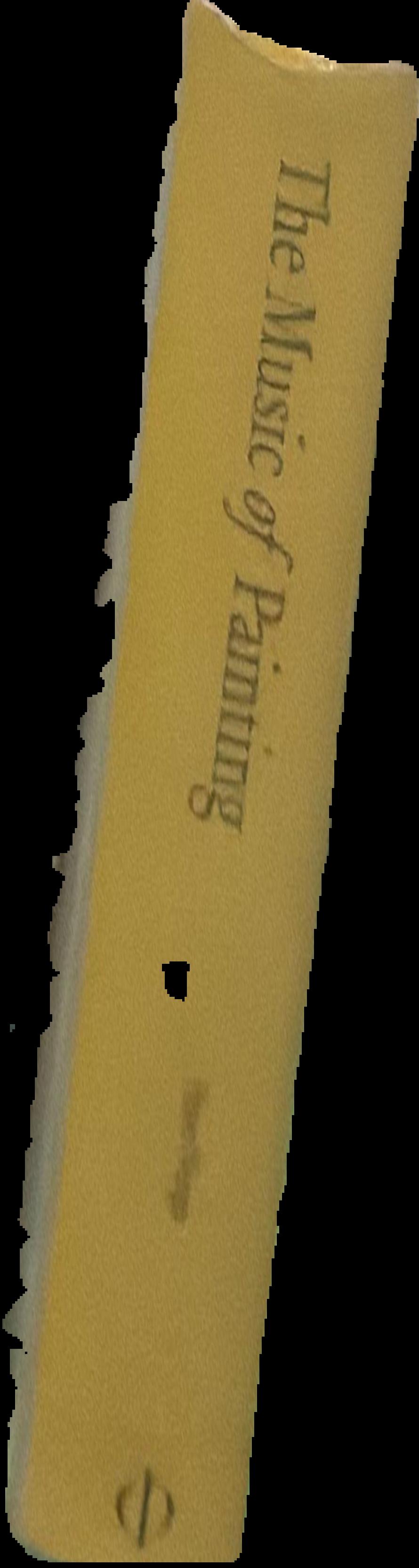 The music of painting : music, modernism and the visual arts from the Romantics to John Cage live spine