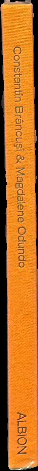 Constantin Brancusi & Magdalene Odundo live spine