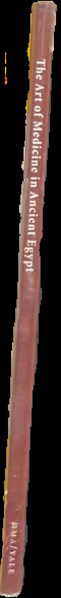 The art of medicine in ancient Egypt live spine