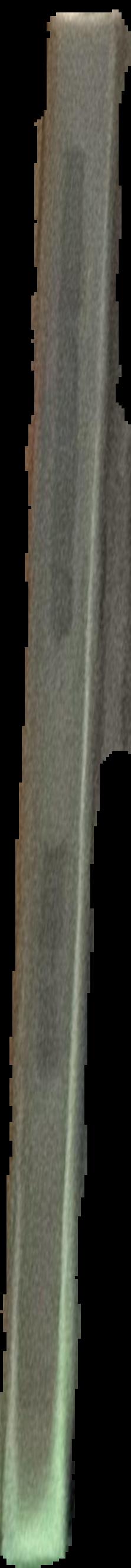 Beam in thine own eye live spine