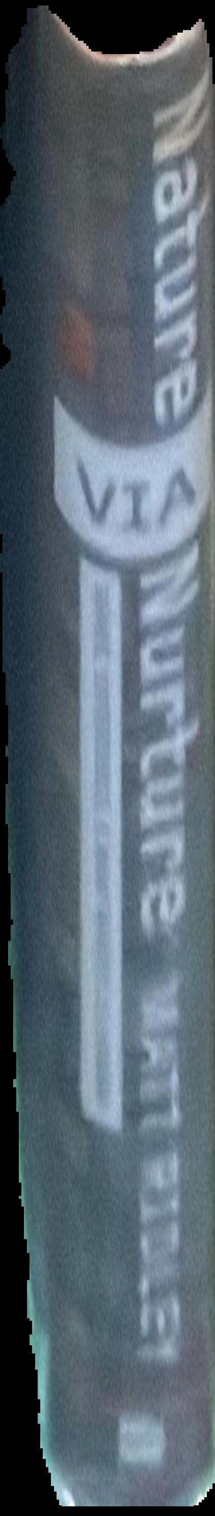 Nature via nurture : genes, experience and what makes us human live spine