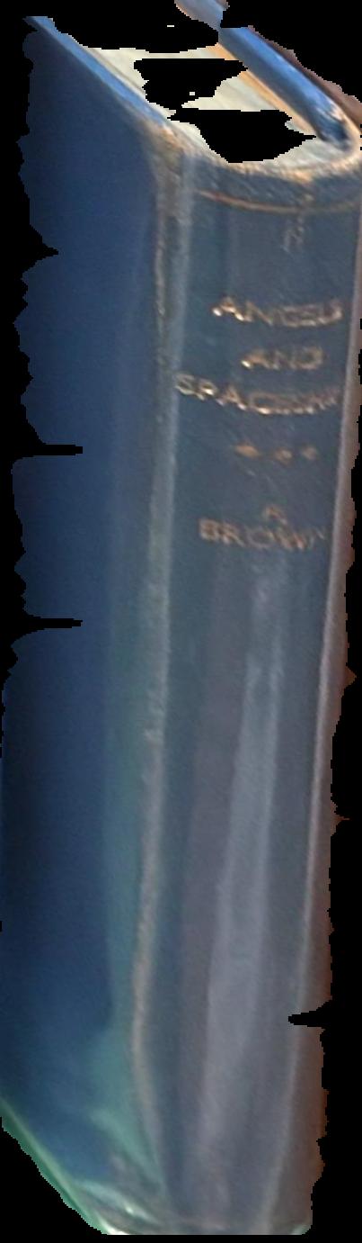 Angels and spaceships / by Fredric Brown live spine