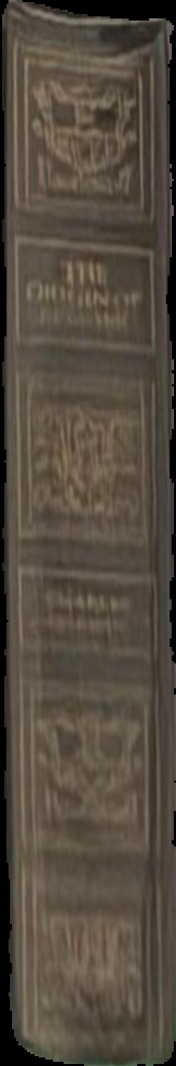 The Irish / by Sean O'Faolain live spine