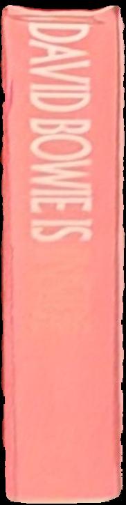 Einstein's greatest mistake : the life of a flawed genius / David Bodanis live spine