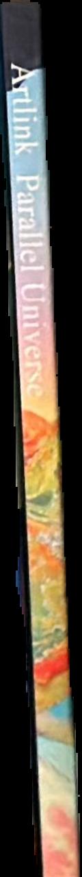 Parallel universes : the search for other worlds / Fred Alan Wolf live spine