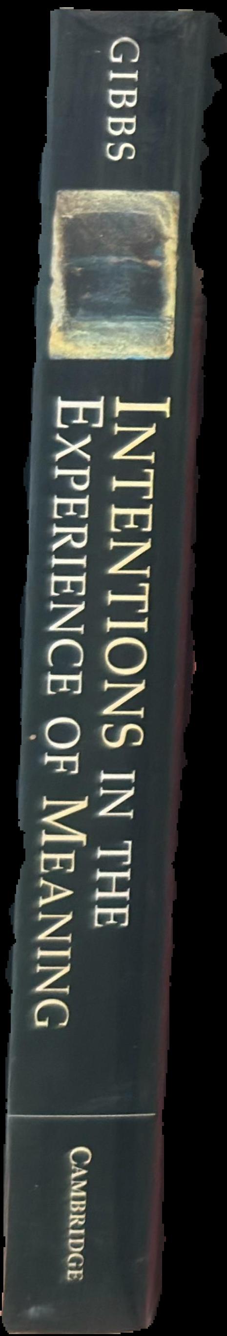 Intentions in the experience of meaning live spine