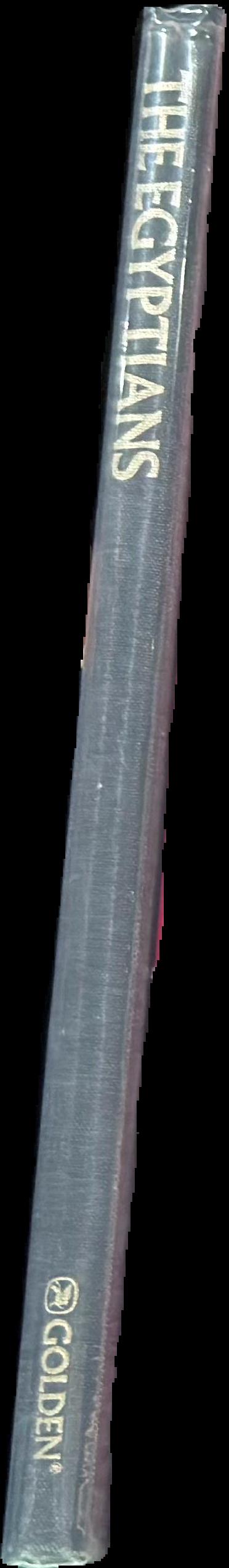 The Egyptians live spine