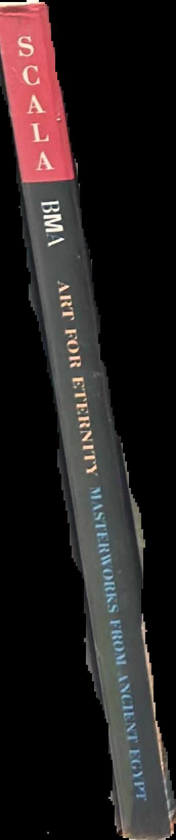 Prepared for eternity : a study of human embalming techniques in ancient Egypt using computerised tomography scans of mummies / Robert Loynes live spine