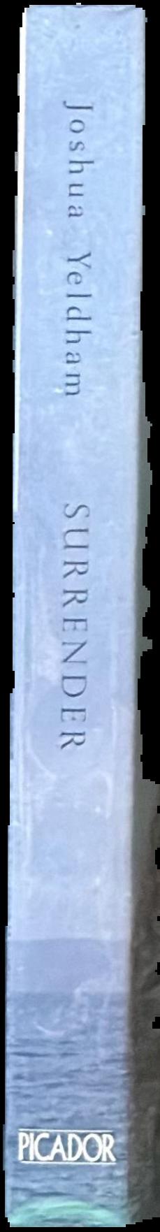 Surrender : a journal for my daughter live spine