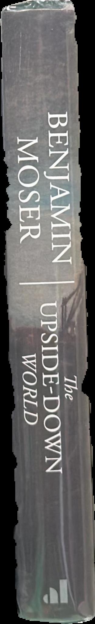 The upside-down world : meetings with the Dutch masters live spine