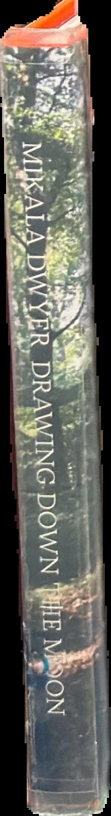 Mikala Dwyer : drawing down the moon live spine