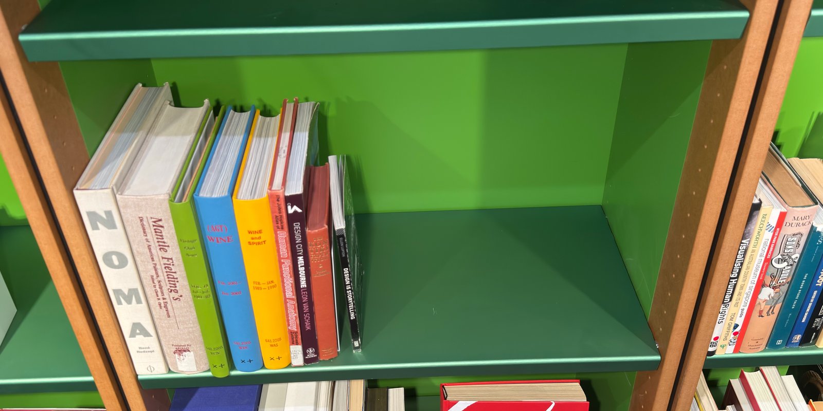 PTZ Capture from Feb 19, 2026 2:44 PM