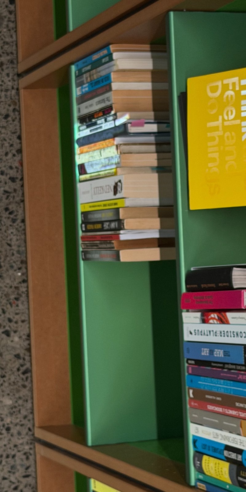 PTZ Capture from Feb 19, 2026 4:42 PM