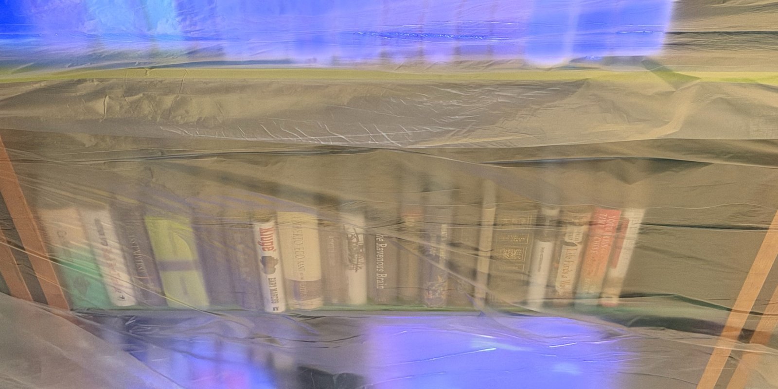 PTZ Capture from May 22, 2026 5:24 PM
