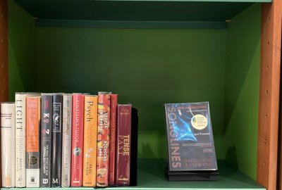 Shelf image