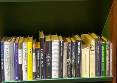 Shelf image